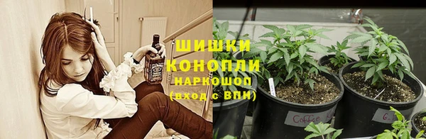 стафф Дубна
