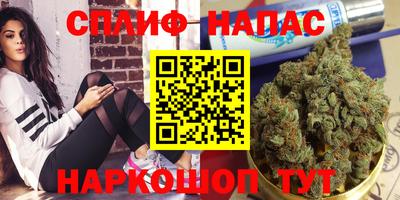не бодяженный Славгород