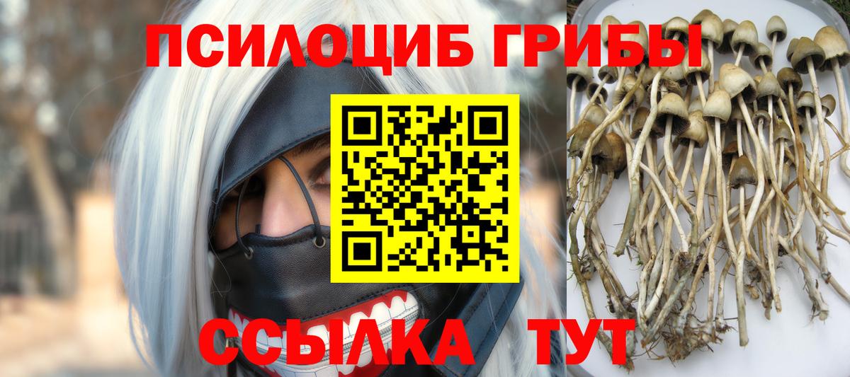 Волоколамск  Галлюциногенные грибы ЛСД  Вход с VPN 
